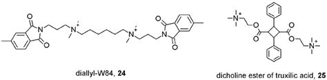 Allosteric Modulation of Muscarinic Acetylcholine Receptors