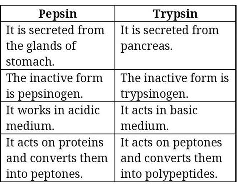 what are differences between pepsin and tripsin - Brainly.in