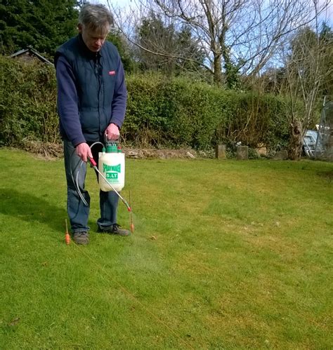 How Do I Kill Moss In My Garden at Katie Jenkins blog
