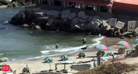 Israel-Palestine conflict: Morning scenes at Gaza port following ...