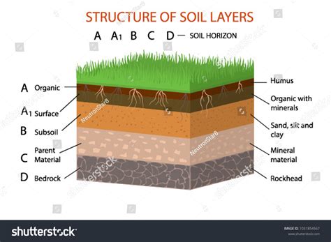 Layers Of Soil Structure Types Of Soil Water | BIOLOGY | NEET