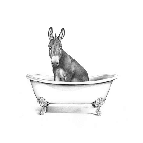 Farm Donkey in Bathtub Canvas Wall Art, 12x16 | At Home