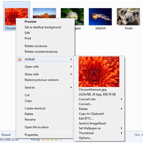 Image result for XnView Pump