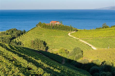 Your 2025 guide to Basque Country wine region | Winetourism.com