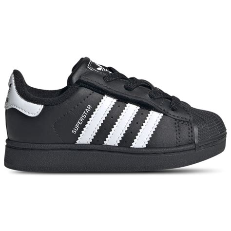 Image result for Shell Toe Adidas