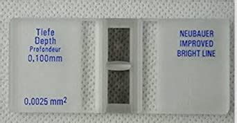Witeg Improved Neubauer Hemocytometer/Blood Counting Chamber/Cell ...