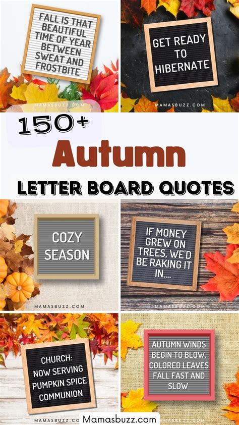 150+ Fall Letter Board Ideas | Funny fall quotes, Autumn quotes, Letter ...