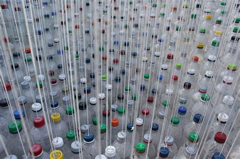 Image result for Creating Forms in SQL Database
