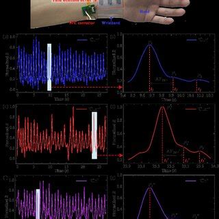 Image result for How to Read a Pulse Machine