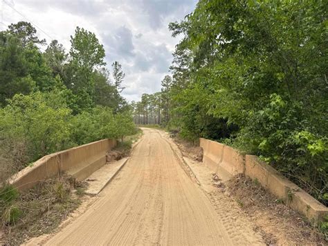 Spring Creek - ONF 6, Florida - GPS Trail Map, Conditions & Difficulty ...