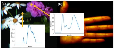 Line Scan Hyperspectral Imaging Framework for Open Source Low-Cost ...