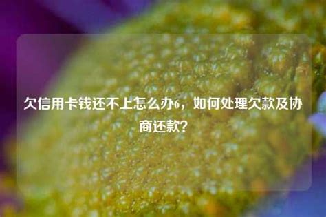 欠信用卡钱还不上怎么办6，如何处理欠款及协商还款？-地宝网