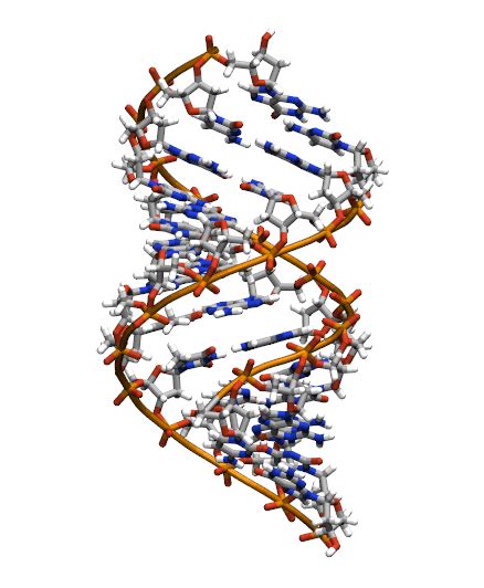 Image result for DNA 80 Box Mod