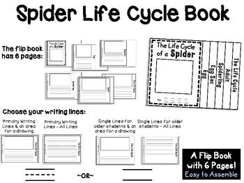 Image result for Science Lab Report On Spider