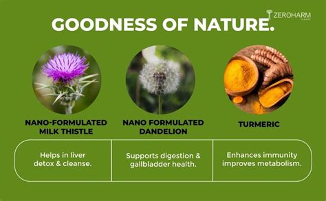 ZEROHARM Holo Liver Detox tablets | Liver cleanse & detox supplements ...