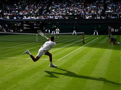 Wimbledon Vimeo 的图像结果