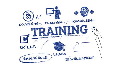 Training Check In 的图像结果