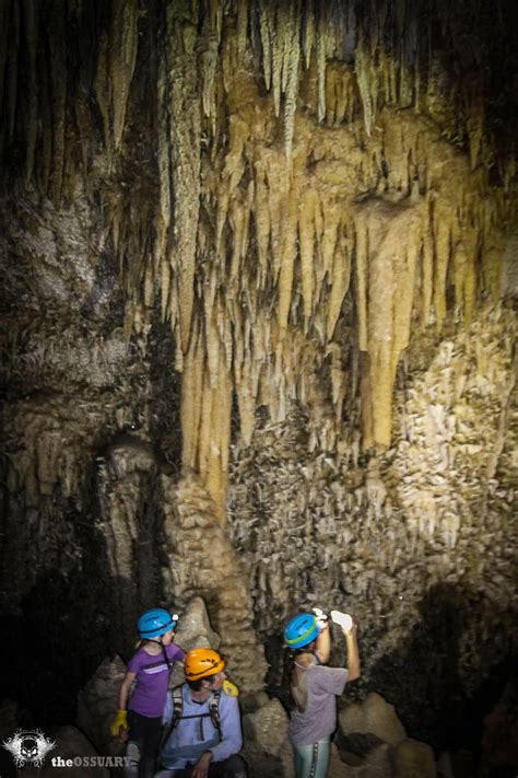Image result for Kickapoo Cavern State Park Kickapoo Cavern Tours
