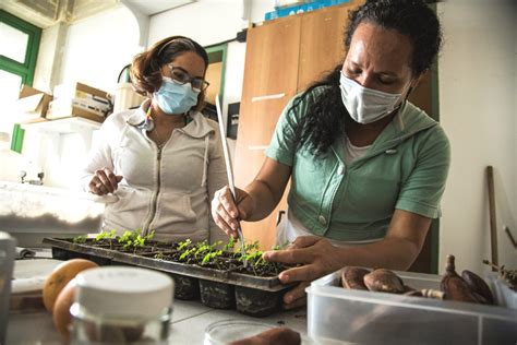 Venezolanas investigan especies de frutas poco conocidas o ...