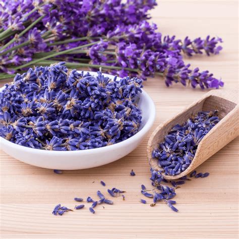 Lavender Flower Meaning, Spiritual Symbolism, Color Meaning & More ...