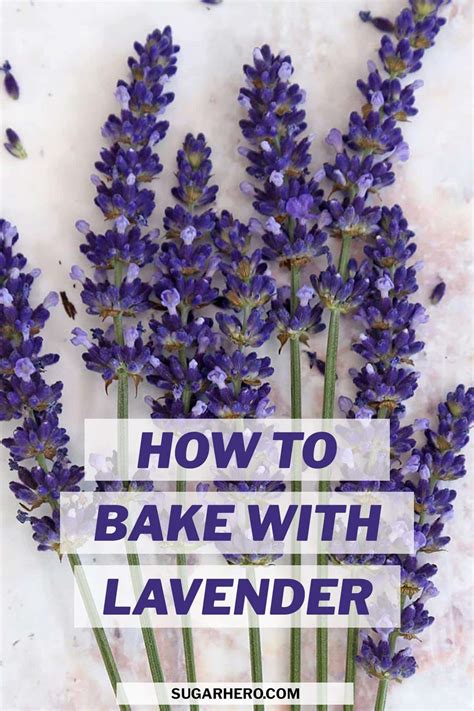 Baking with Lavender: All About Culinary Lavender - SugarHero