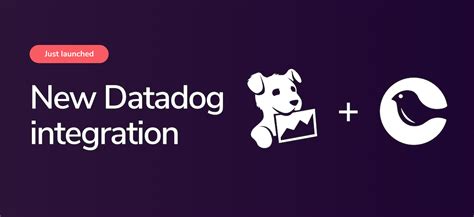 Image result for How to Set Alert Notification in Datadog