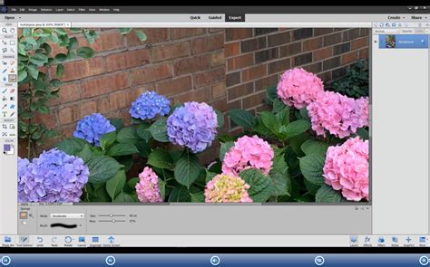 Rezultat imagine pentru Adobe Photoshop Elements Tutorials