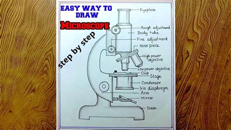 Image result for How to Draw a Microscope
