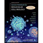 Buy Molecular Cell Biology Book Online at Low Prices in India ...