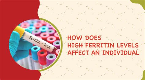 HOW DOES HIGH FERRITIN LEVELS AFFECT AN INDIVIDUAL – Nutrition Daily