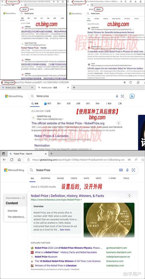 必应网 的图像结果