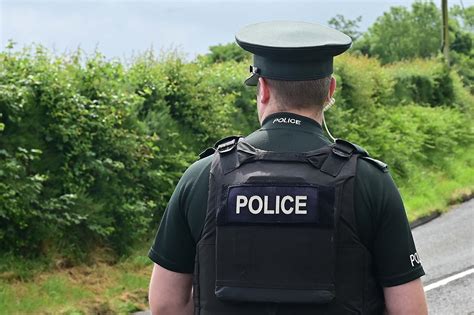 Sixmilecross: Angus, Friesian and Charolais bullocks 'worth £20,000 - £ ...