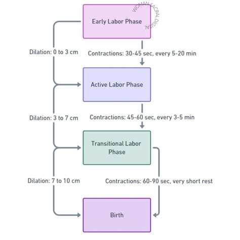 Stages of Labor Guide Editable Digital Poster for Doulas & Midwives ...