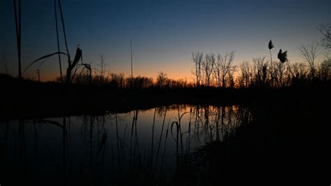 Download wallpaper 1920x1080 lake, reeds, grass, twilight, dark full hd ...