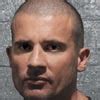 Dominic Purcell, Dominic Purcell Photo Gallery, Dominic Purcell ...
