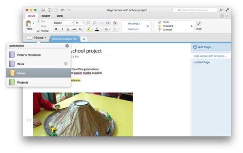 OneNote for Mac Tutorial 的图像结果