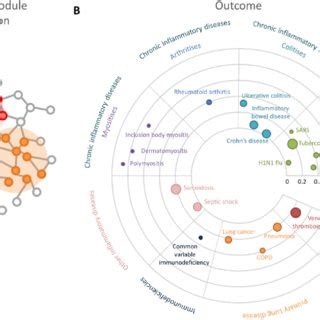 Image result for Reprogramming RWR