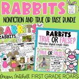 Rabbits True or False Nonfiction Interactive Google Slides Activity