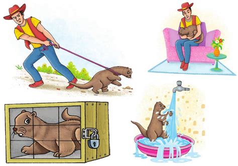 SATHEE: Chapter 06 Mijbil the Otter