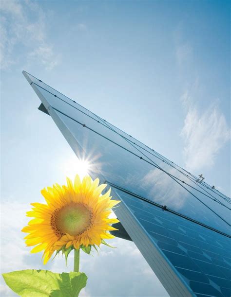 Solar Tech 的图像结果