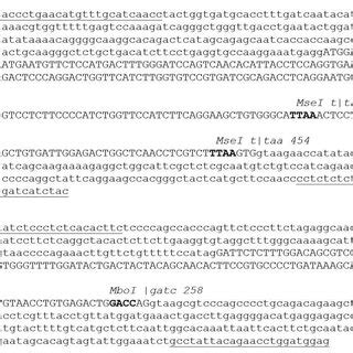 Image result for Restriction Enzyme Map