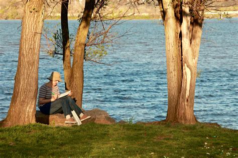 Alexandria’s waterfront parks getting lighting upgrade this fall | ALXnow