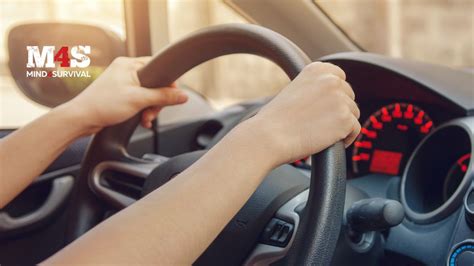 Defensive Driving Simulator 的图像结果