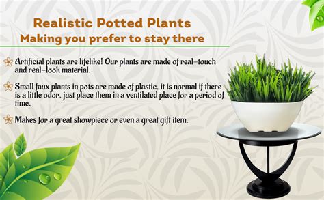 Buy Litleo Ship Shape Multiple Decorative for Home Office and Gift ...