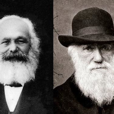 The Princeton Guide to Evolution : Losos, Jonathan B., Baum, David A ...