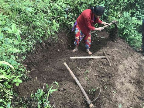 Sikkim: Dhara Vikas spring rejuvenation scheme is helping villages tide ...