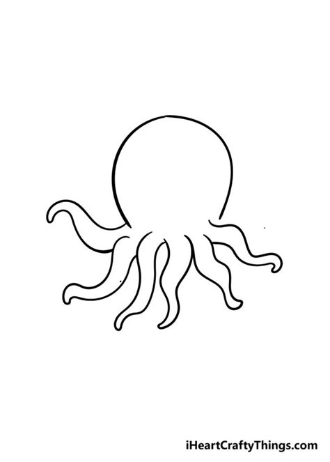Octopus Software without Box 的图像结果