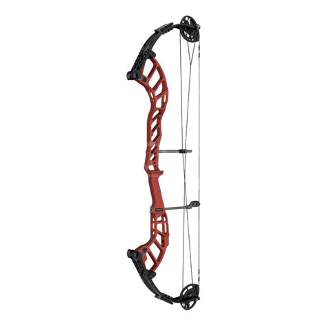 Everything You Need to Know About Hoyt Compound Bows — ArcheryKart