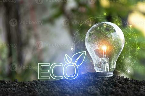 Eco 的图像结果