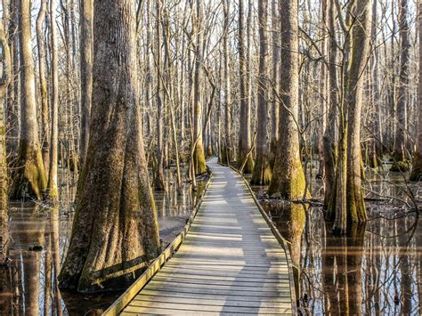 10 Best East Coast National Parks to Visit in the USA